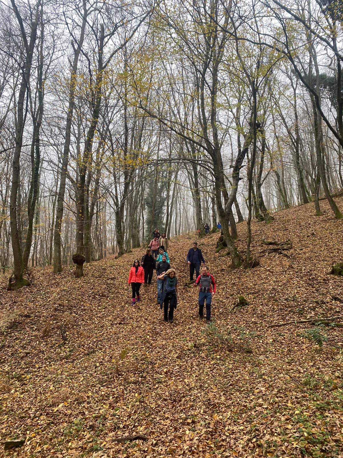 Copy of Trekking (2)