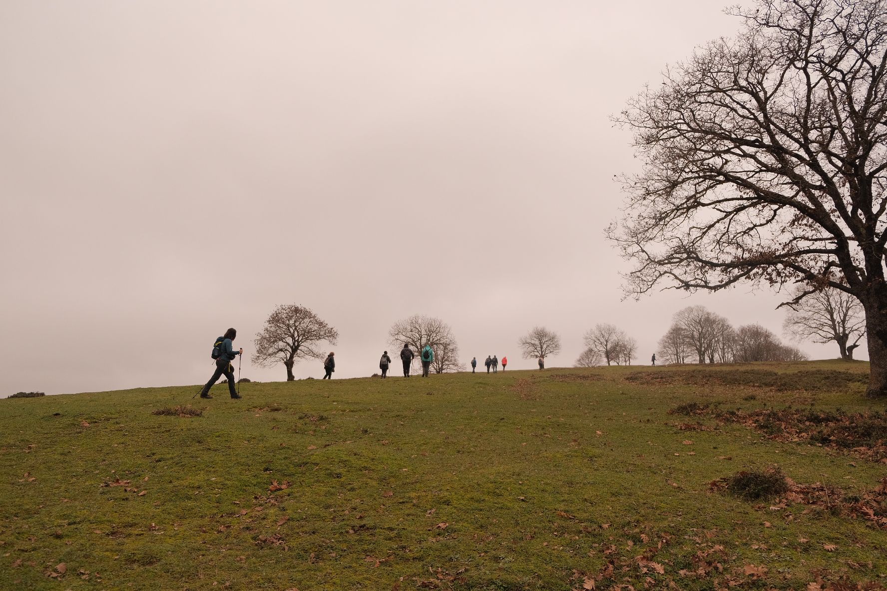 Copy of Trekking (3)